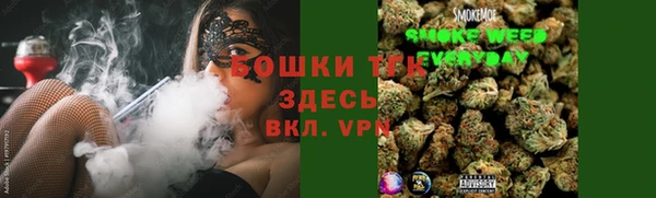 молекула духа Алексеевка