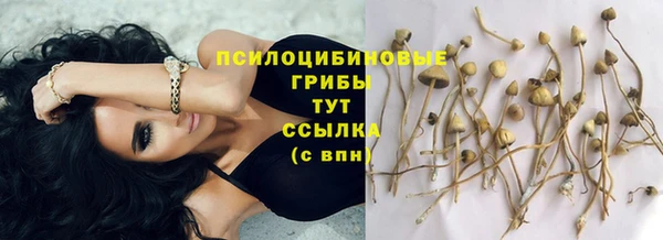 а пвп мука Абдулино