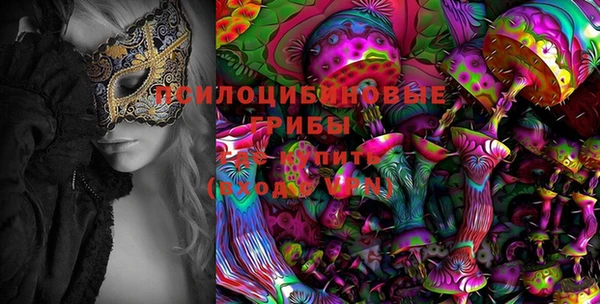 крисы Алзамай