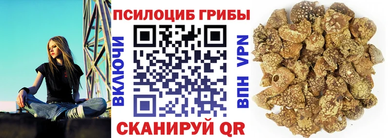 мега ONION  хочу   Избербаш  Галлюциногенные грибы прущие грибы 