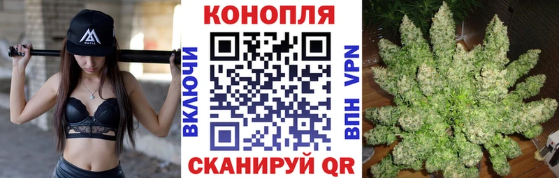Каннабис план  Избербаш 